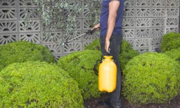 Control de plagas Residencial