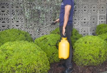 Control de plagas Residencial