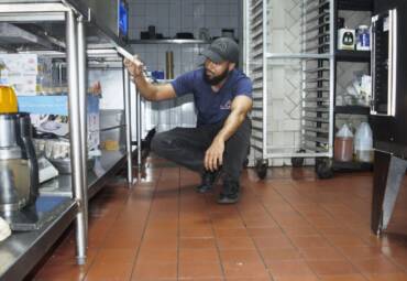 Control de plagas Industrial