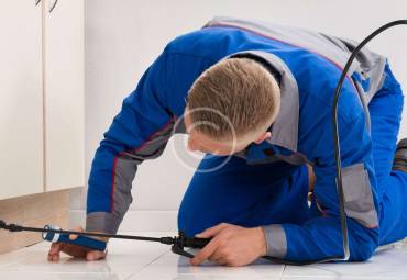 Inspección detallada